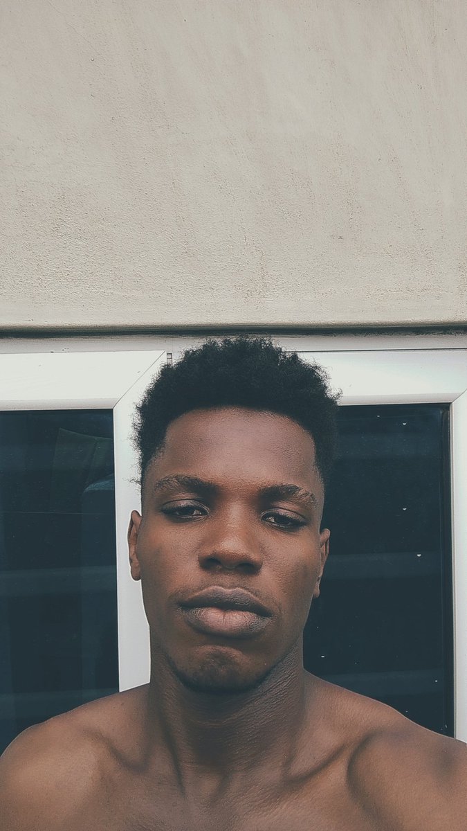Vico 🦅👽ꕤ tweet media