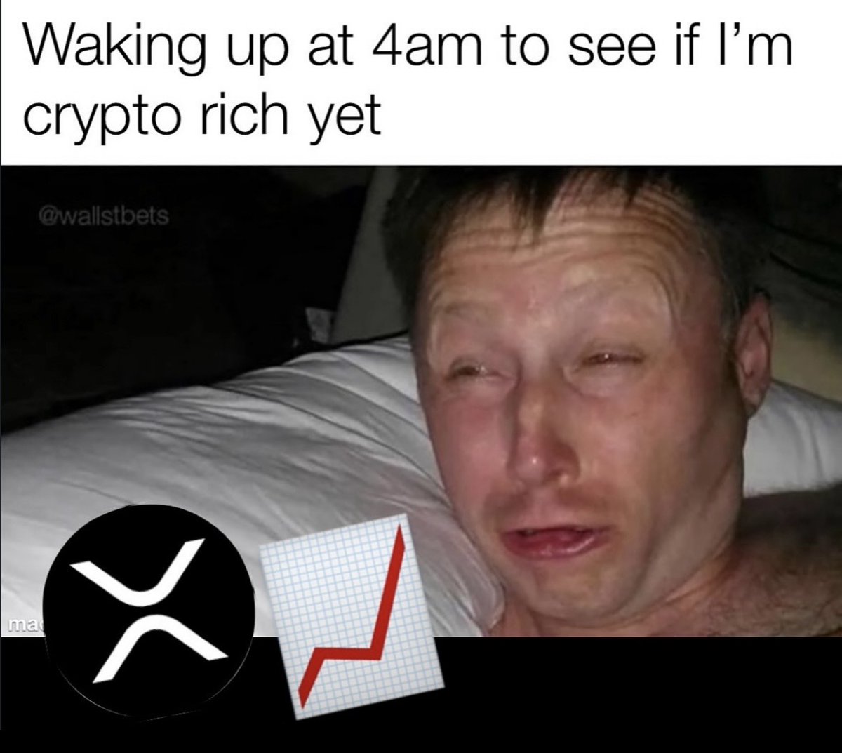 Chloe the XRP shiller 💙 tweet media