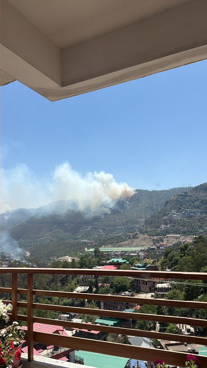 Parth_Vegan's tweet photo. @SukhuSukhvinder I am in Solan, HP and as a tourist what I see ? Fire in forest since 5-6 hours and no one to control it. It is filling inside my stay and causing lung issues. Please take action. https://t.co/Fm9PQ5PJ51
