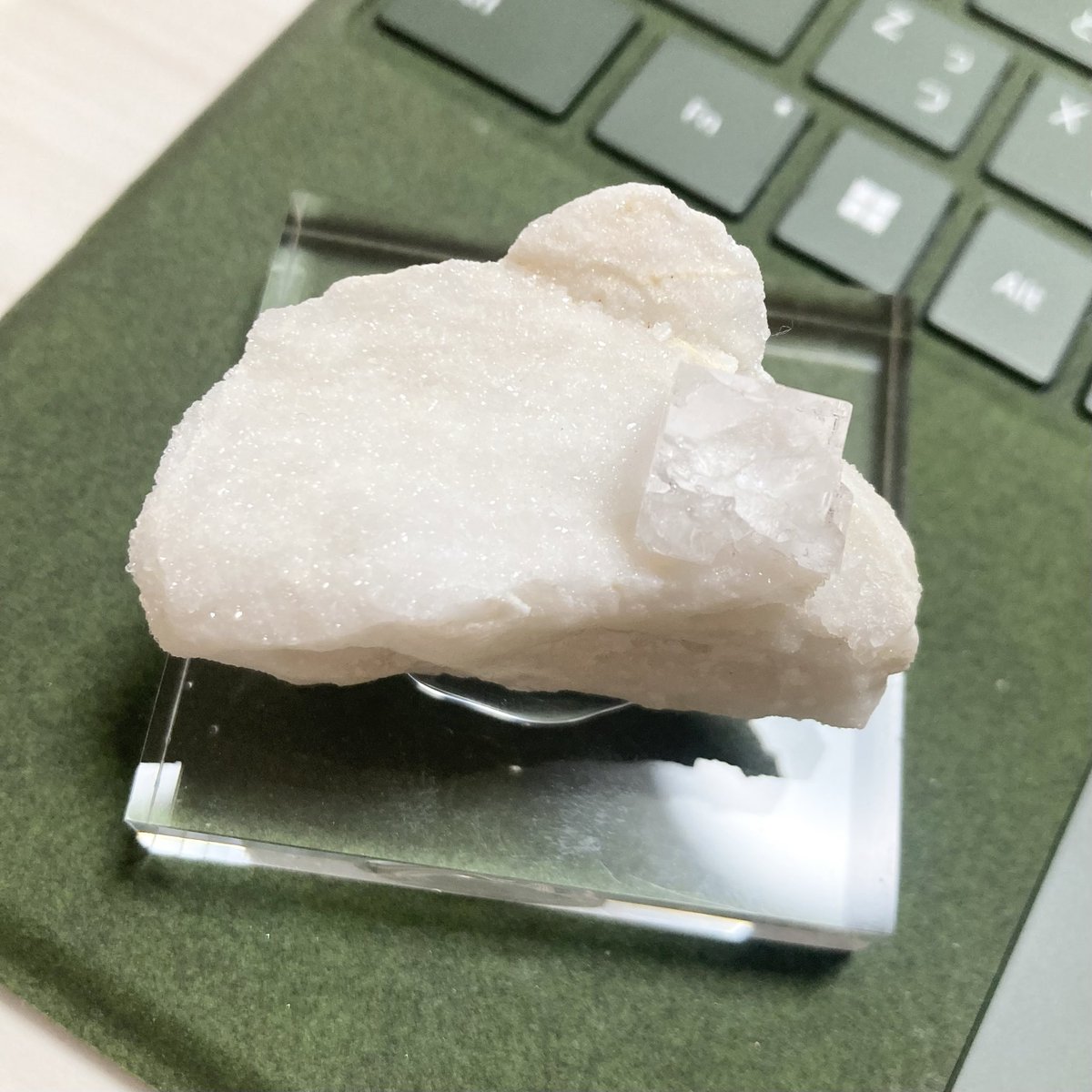 okorus1's tweet photo. Fluorite
Carrara, Massa-Carrara Province, Tuscany, Italy

イタリア・カラーラと言えば、真っ白な大理石母岩にとびきりクリアな水晶のコンビネーションのイメージだけど、稀に蛍石も出るんですよ。
@WordWideMineral さんから

#東京国際ミネラルフェア #新宿ショー #鉱物２０２６年 #蛍石 #鉱物 https://t.co/gKPYpUvQHk
