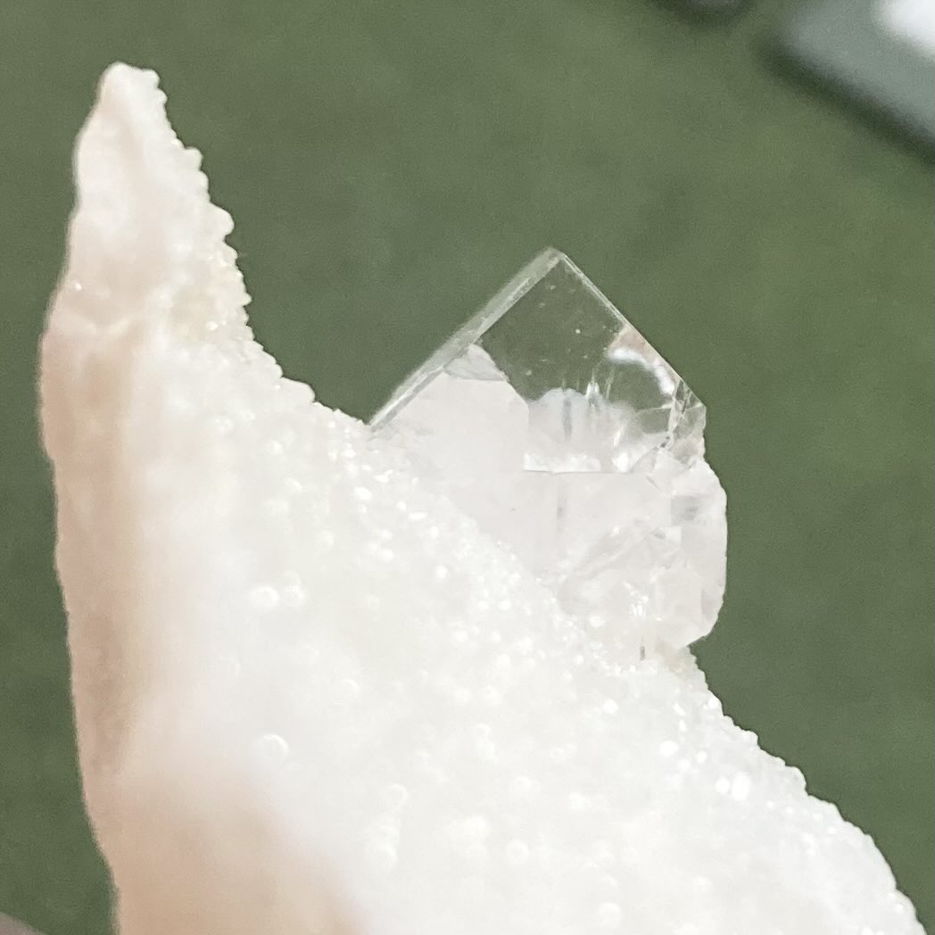 okorus1's tweet photo. Fluorite
Carrara, Massa-Carrara Province, Tuscany, Italy

イタリア・カラーラと言えば、真っ白な大理石母岩にとびきりクリアな水晶のコンビネーションのイメージだけど、稀に蛍石も出るんですよ。
@WordWideMineral さんから

#東京国際ミネラルフェア #新宿ショー #鉱物２０２６年 #蛍石 #鉱物 https://t.co/gKPYpUvQHk