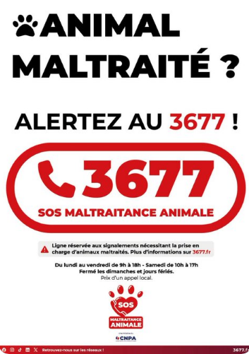 Lin_Anderson_95's tweet photo. À partager et mémoriser particulièrement en cette période.. https://t.co/nBd7iT8rW9