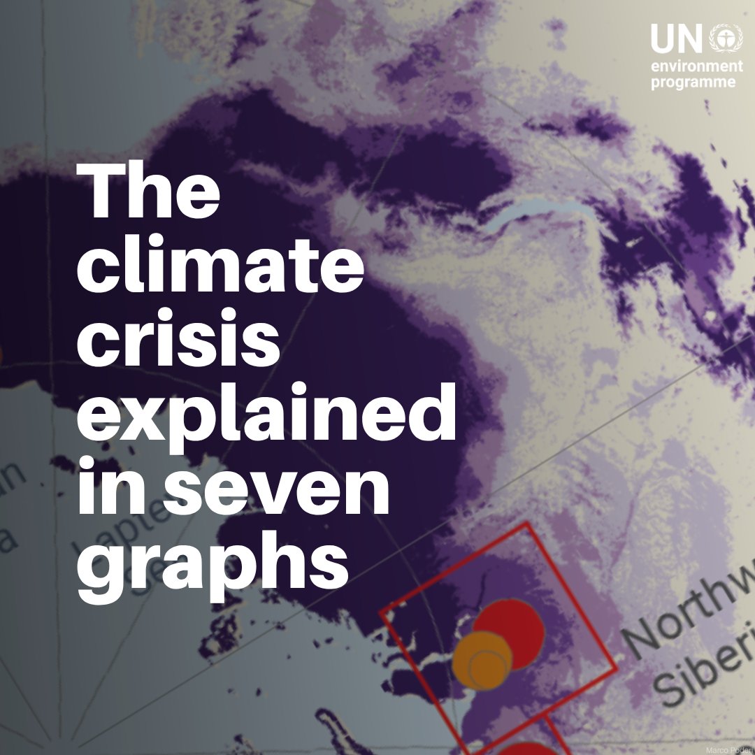 UN Environment Programme tweet media