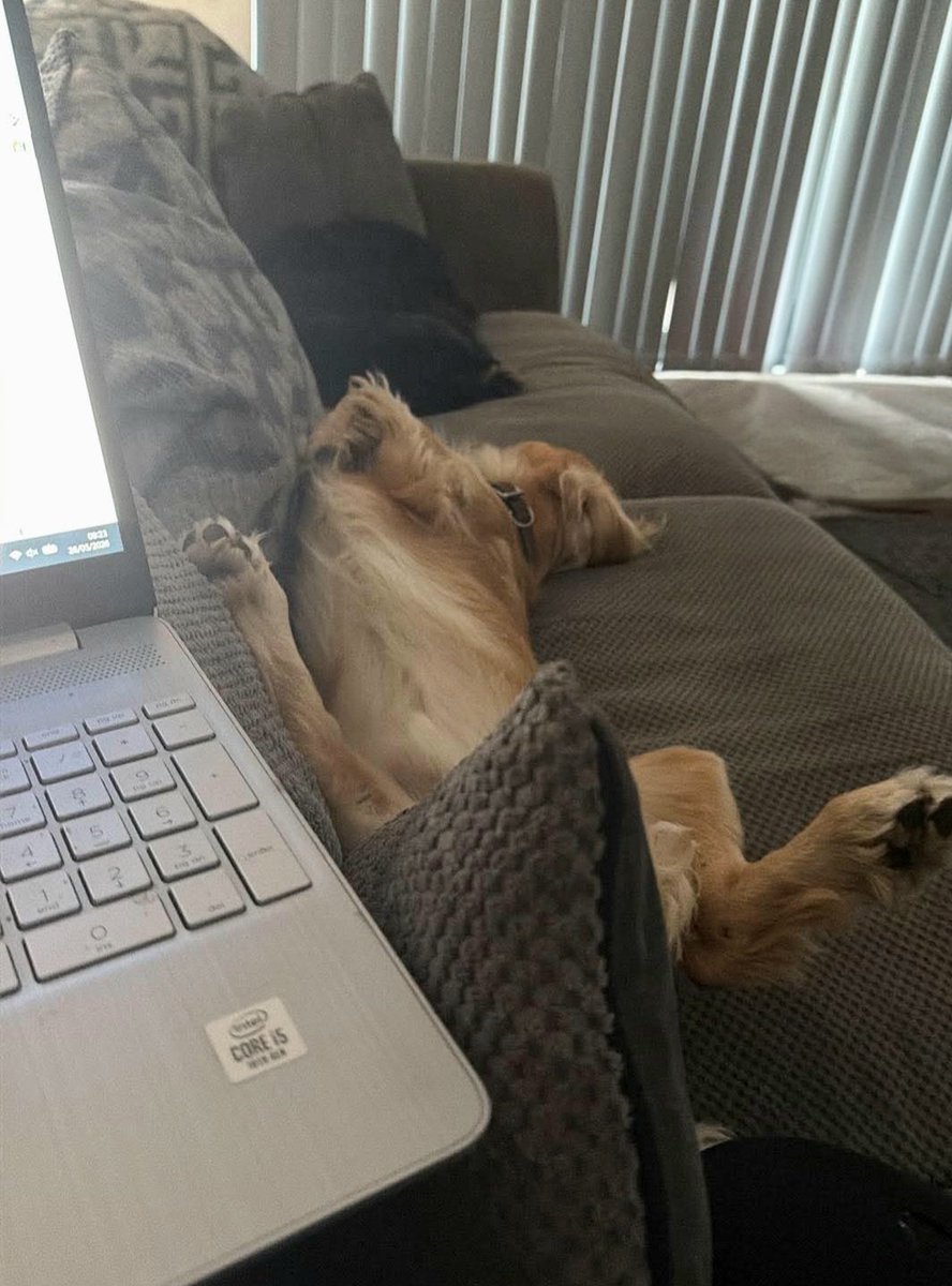 OllyWCS's tweet photo. Mummy's on holiday this week so is busy planning for the next term. Obviously I'm helping out to make sure its all correct. https://t.co/yFgglarWJb