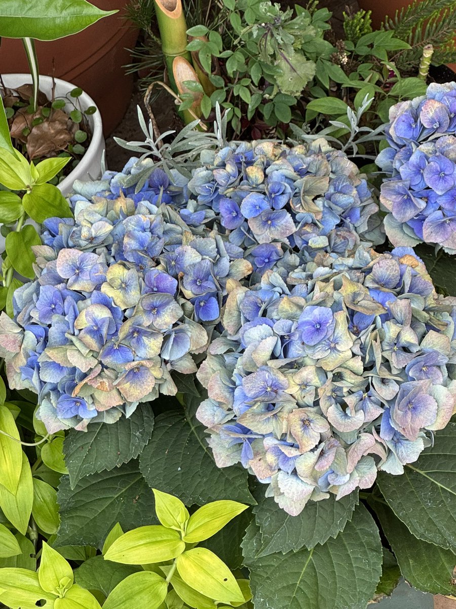 ME_6103's tweet photo. 近況 https://t.co/s13AtT2KSO
