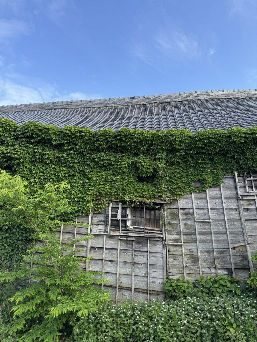 ME_6103's tweet photo. 近況 https://t.co/s13AtT2KSO