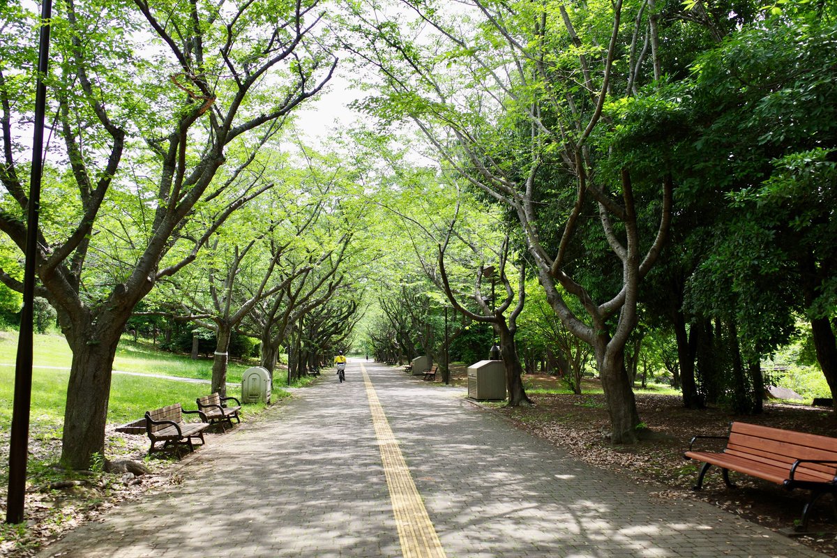 una_coool's tweet photo. 天気はイマイチだけど、ジリジリと焼かれるよりはヨシッ‼️って思うような季節になってきちゃったね https://t.co/AsGidZQGtm