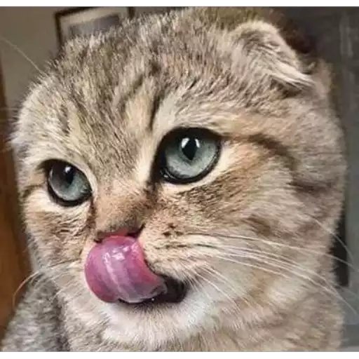 mamphweli the DJ tweet media