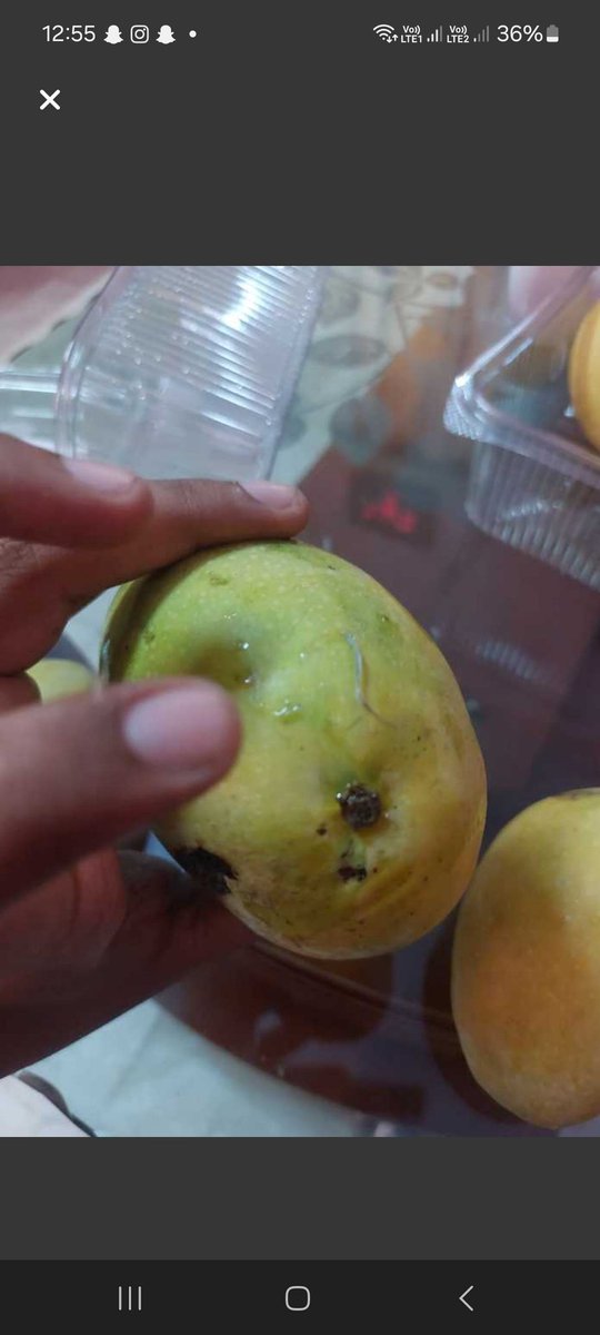 AbdALBasith2's tweet photo. @letsblinkit 
Can you resolve this issue?
Your customer support team isn't responding to queries of rotten mangoes https://t.co/77khptli3C