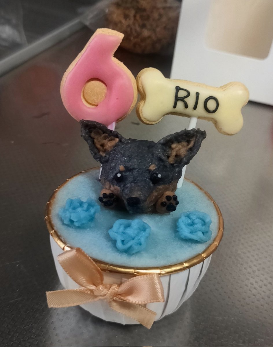 ハッピーバースデーイッヌ🐶 6歳おめでとうワン🎂🎉