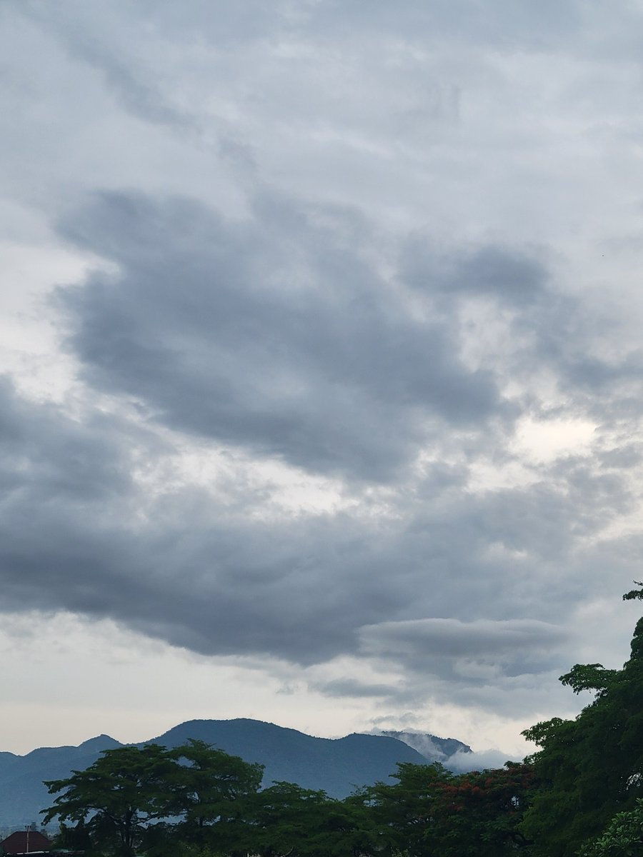 salamnuhu's tweet photo. There's really everything to love about rainy seasons.

Yeah, comes with some occasional interruption of one's schedule, but we'll worth it! https://t.co/68xA99VoQ0