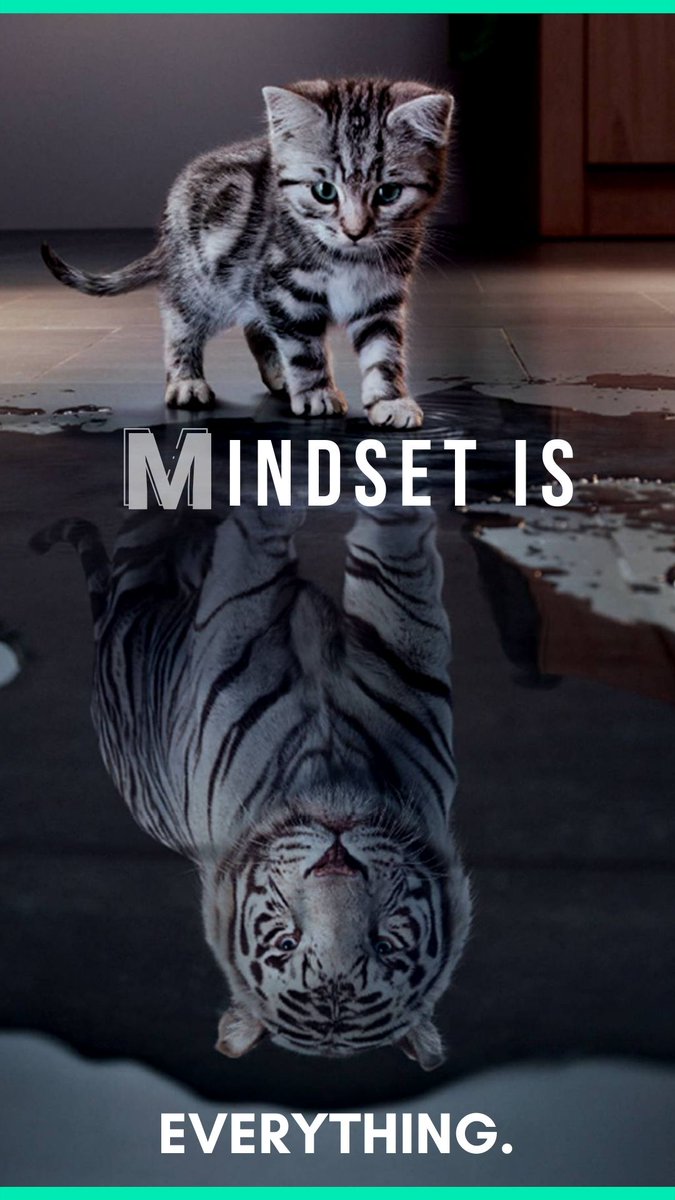 Im_Alien_X's tweet photo. “See yourself as a lion long before the world hears your roar.” 🐯⚡
#Mindset #Roar #SelfBelief #Confidence #InnerStrength #Motivation #Fearless #GrowthMindset #Mentality #Success #DreamBig #BeDifferent #PowerWithin #Focus https://t.co/MN7EATTCRC