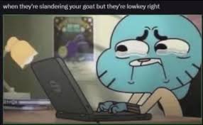 Danika🦆 tweet media