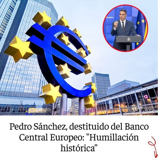 PEPE, en Español . INVICTUS MANEO.🇪🇸 🇮🇱 tweet media