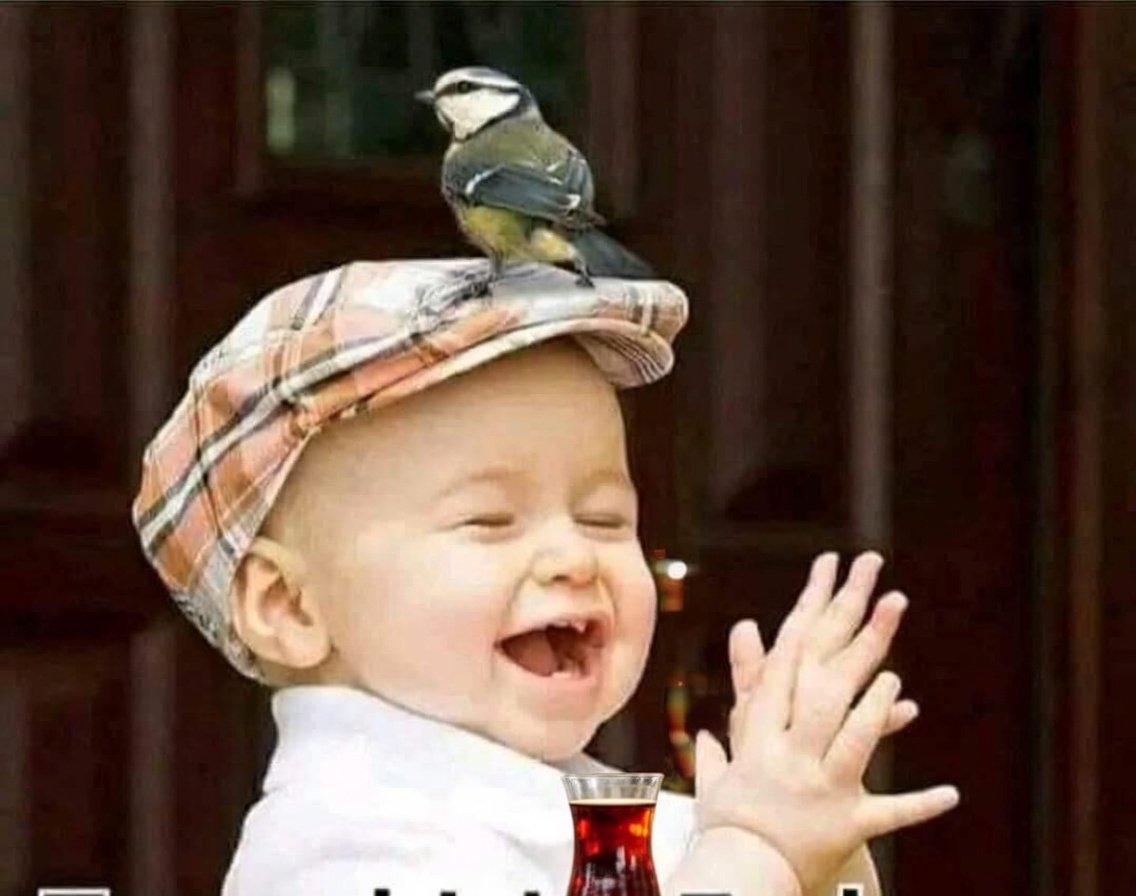 sb35__'s tweet photo. Evveett 
Nerde kalmıştık 😏

Bi günaydın dersiniz bence 😁😂

_________//@SB121235  @SBZC35 https://t.co/i7O5aKIgYE