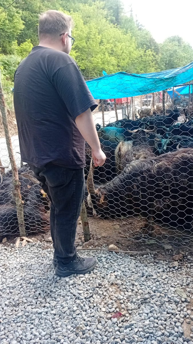 rizetarim's tweet photo. 📍Yaklaşan kurban bayramı sebebiyle kurban satış yeri denetimleri devam ediyor.
@muratgenc53 @TCTarim @TR_HAYGEM https://t.co/bc6b3xKkXQ