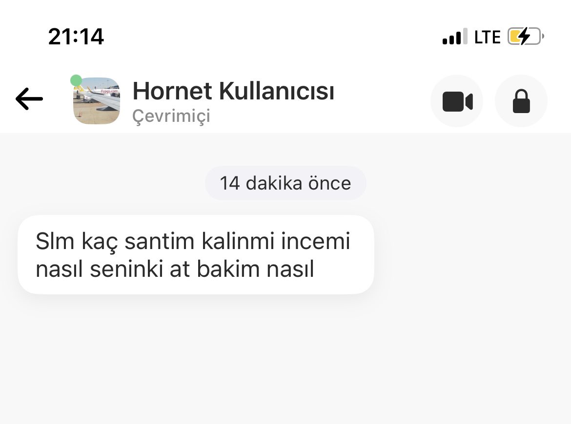 Haydarsu tweet media