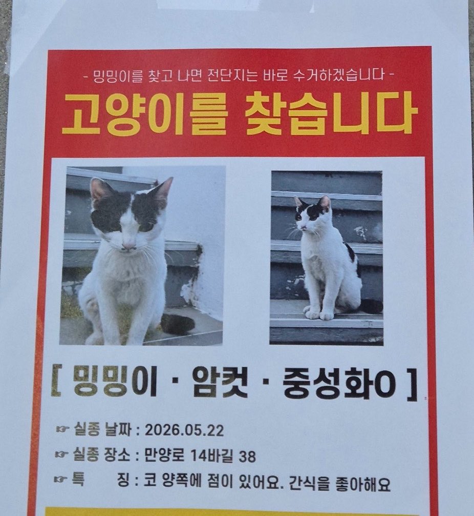 밍밍 tweet media