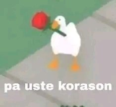 kami tweet media
