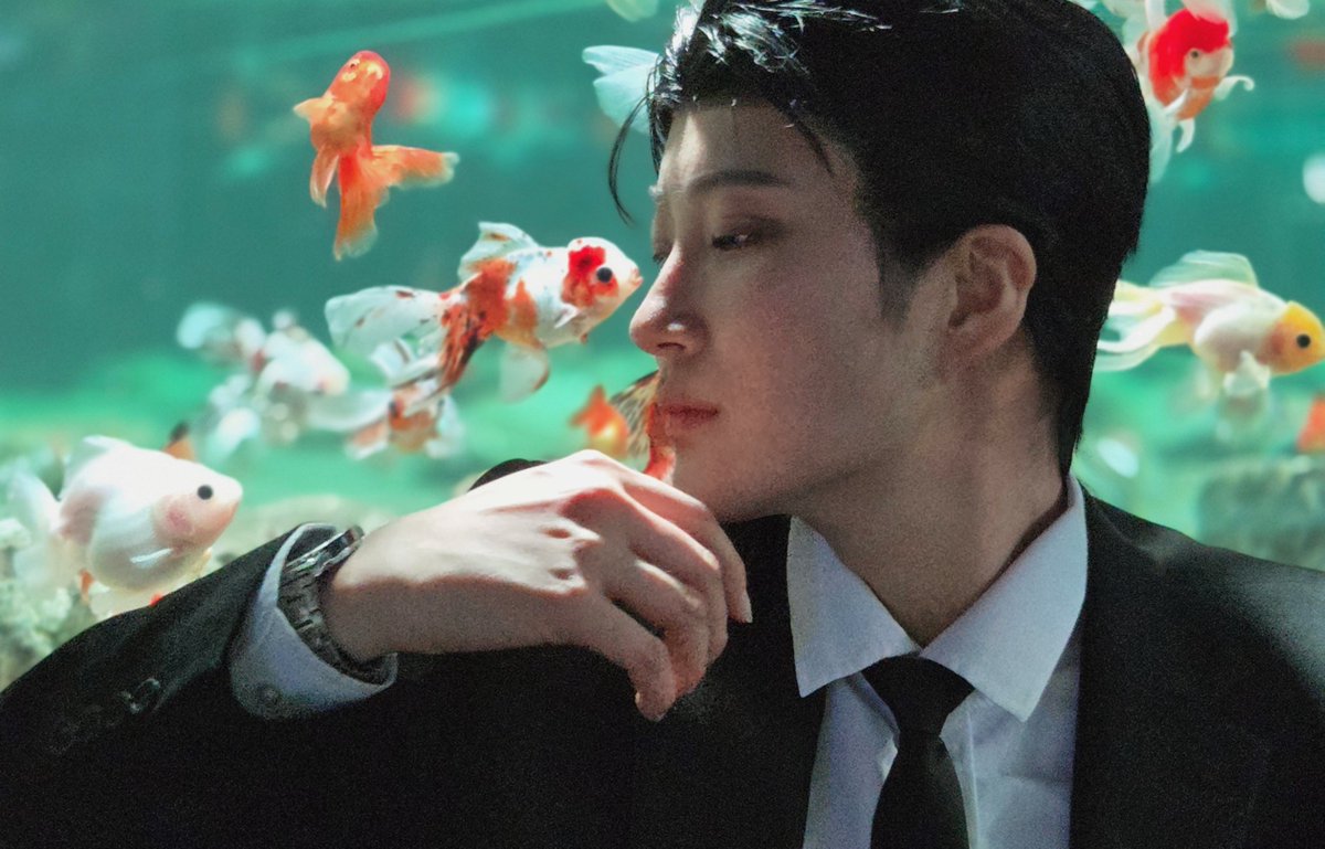 최덕복 tweet media
