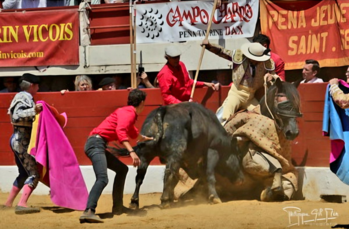 Samsa2111's tweet photo. Momentos de la feroz batalla que libraron Langosto de Dolores Aguirre y Puchano en Vic-Fezensac el pasado sábado, con cuatro entradas al caballo y un par de derribos, en el objetivo de Phillippe Gil Mir. https://t.co/1xE5Y0HCoy