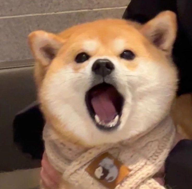 ♪ ᴘᴀʀɪɴ ɞ𝙟𝙢𝙮𝙟𝙥 tweet media