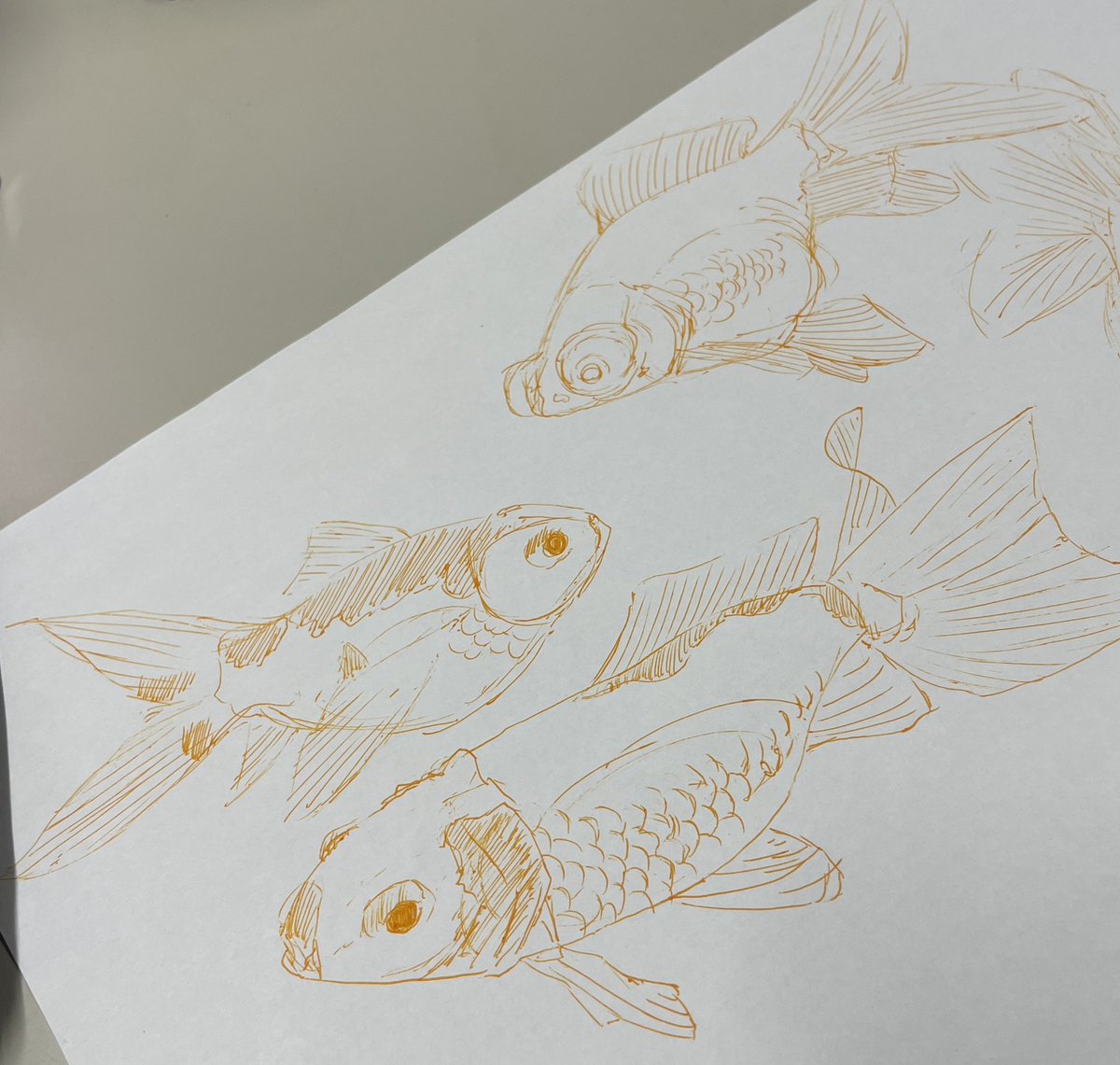 nukone1026's tweet photo. アニメ見ながら描いた金魚の落書き
たくさん種類があって描いてて飽きない🐟
#ボールペン画  #絵描きさんと繋がりたい #illustration #アナログ絵 https://t.co/a6pinfMY7D