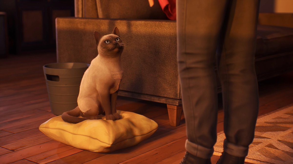 Mutreraru's tweet photo. 🔵Nueva aportación de capturitas para el reto semanal de @PlayStationES sobre GATOS!🐈
Quiero seguir viendo vuestras capturas de gatetes, son chulísimas! Seguíd así 🤩

#CosasDeGamer #PS5Share https://t.co/apIVFkL9tr