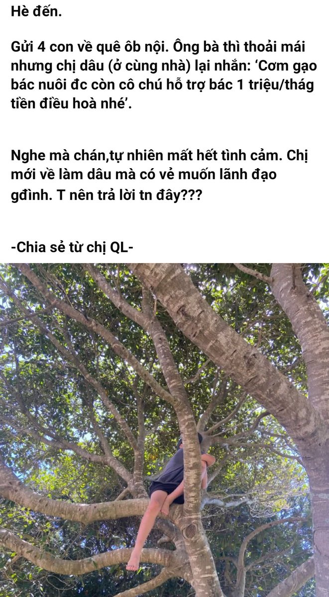 Qyn Dyn tweet media