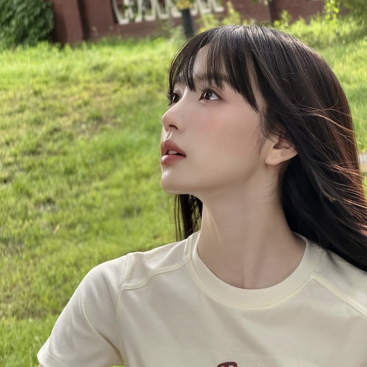 scent tweet media