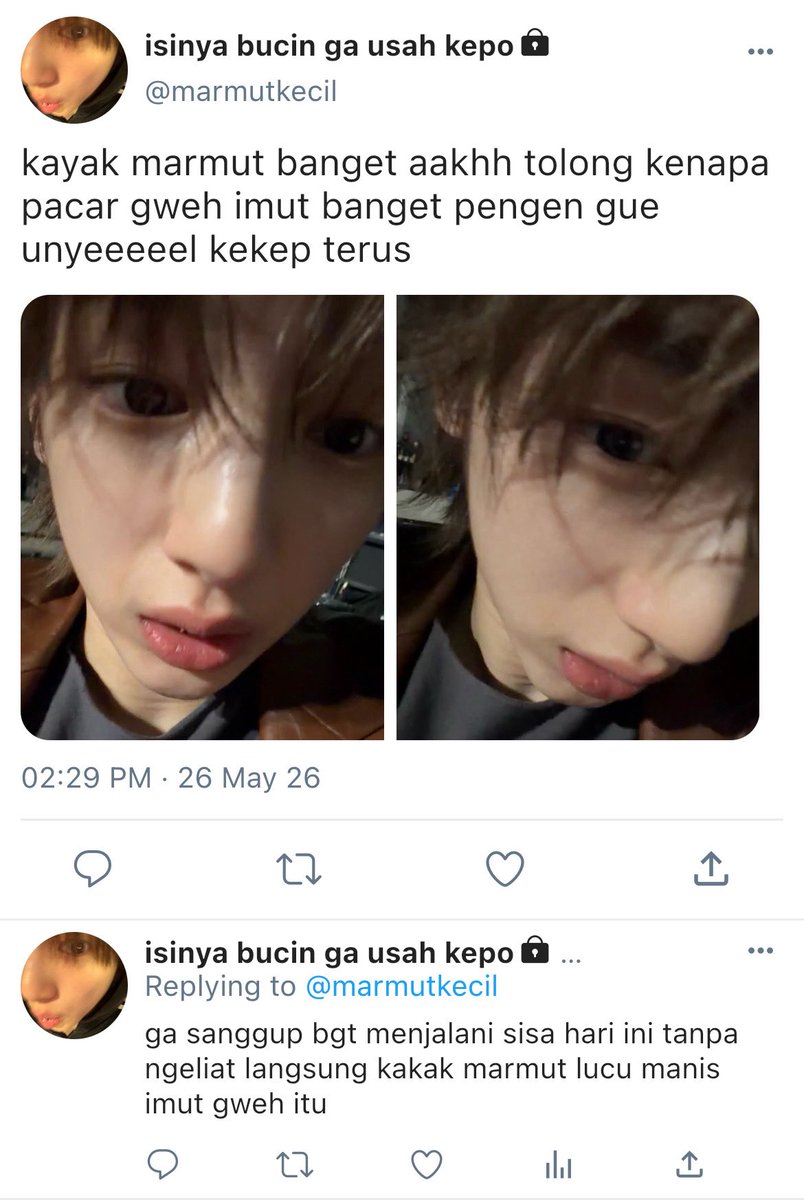 ely tweet media