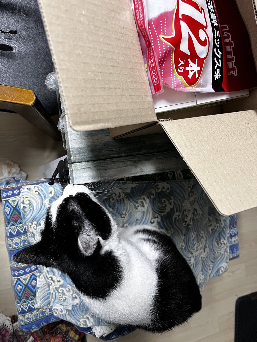 catwithsister's tweet photo. https://t.co/tL1BA2ehW8
