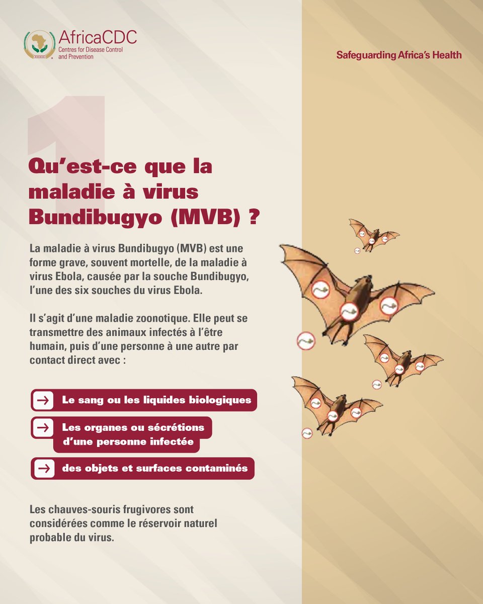 La maladie à virus #Bundibugyo (MVB) est l’une des six espèces du virus ...