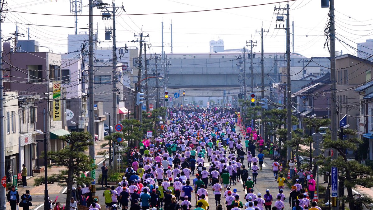 FUKUI_marathon's tweet photo. ＼🌸PLAY BACK 「ふくい桜マラソン2026」②🌸／ ⁡ 「ふくい桜マラソン2026」にご参加いただいた皆さま、ありがとうこざいました！🌸🦕🏯🚄 ⁡ 今週は数回にわたって熱気あふれる大会の様子を��届けします！🔥🔥🔥 ⁡ 次回、2027大会の情報は近日中に公開予定です！乞うご期待🙌🙌🙌

(1/2) https://t.co/BGeH3e3vYe