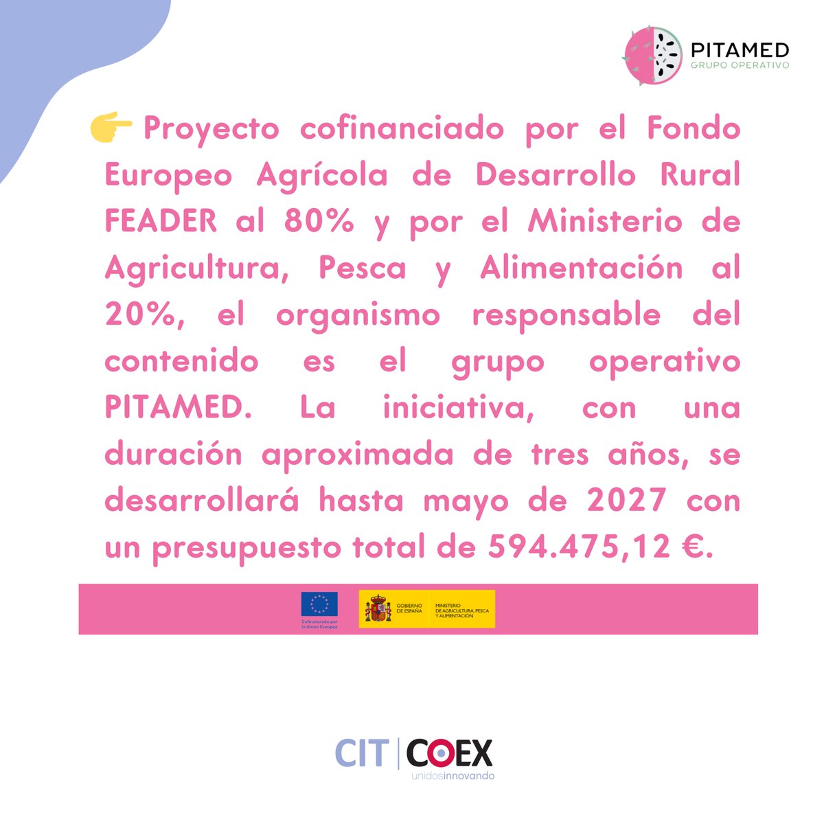Gopitamed's tweet photo. 🌵 Se inicia la campaña de pitaya 💚

Con una antelación de aproximadamente diez días, este fin de semana se ha iniciado la primera floración de pitaya en las parcelas experimentales del Grupo Operativo PITAMed, en las instalaciones de la Finca UAL-ANECOOP. https://t.co/KUWQJoOFOP