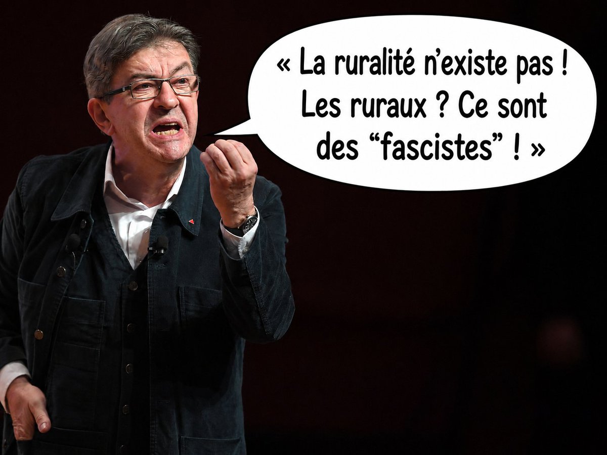 WokeAreDumb's tweet photo. Qui a la définition de :

Traître.
Vendu.
Collabo.
Haute trahison.
Collusion avec l’ennemi. 🤔📖

C’est pour un ami ! 🤭 https://t.co/69jR4RfXtJ