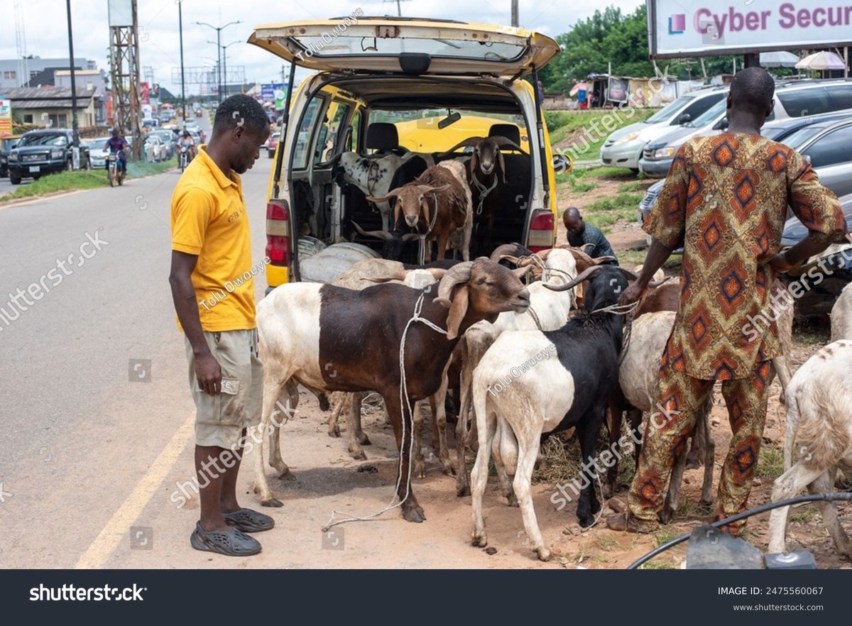 Nigeria Stories tweet media