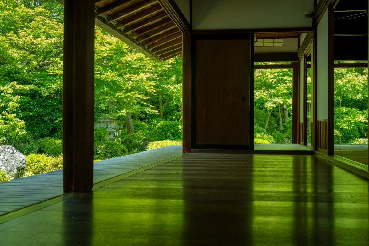 zw5150's tweet photo. 源光庵

緑に包まれた鷹峯の禅宗寺院

「悟りの窓」は禅と円通を表し、「迷いの窓」は生死病死と四苦八苦を表す🍵お庭は緑に覆われて美しい🍃

本日も一日お疲れ様でした😊
2026.5.25
#源光庵
#京都 https://t.co/CWaUZPq3uy