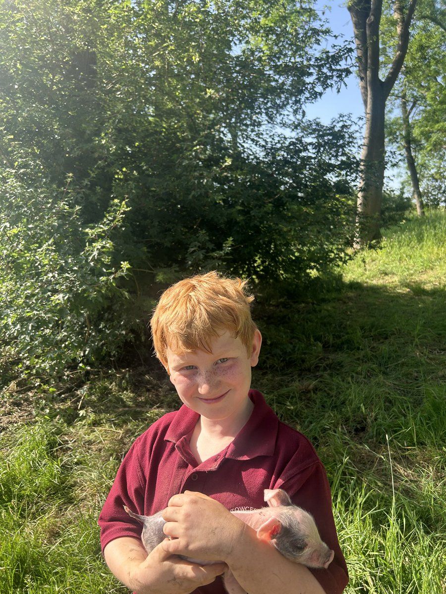Ben Aveling- Radmore Farm tweet media