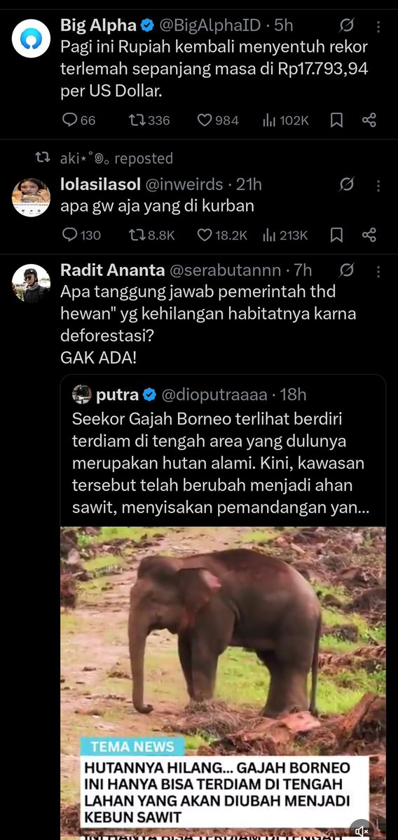 pikach tweet media