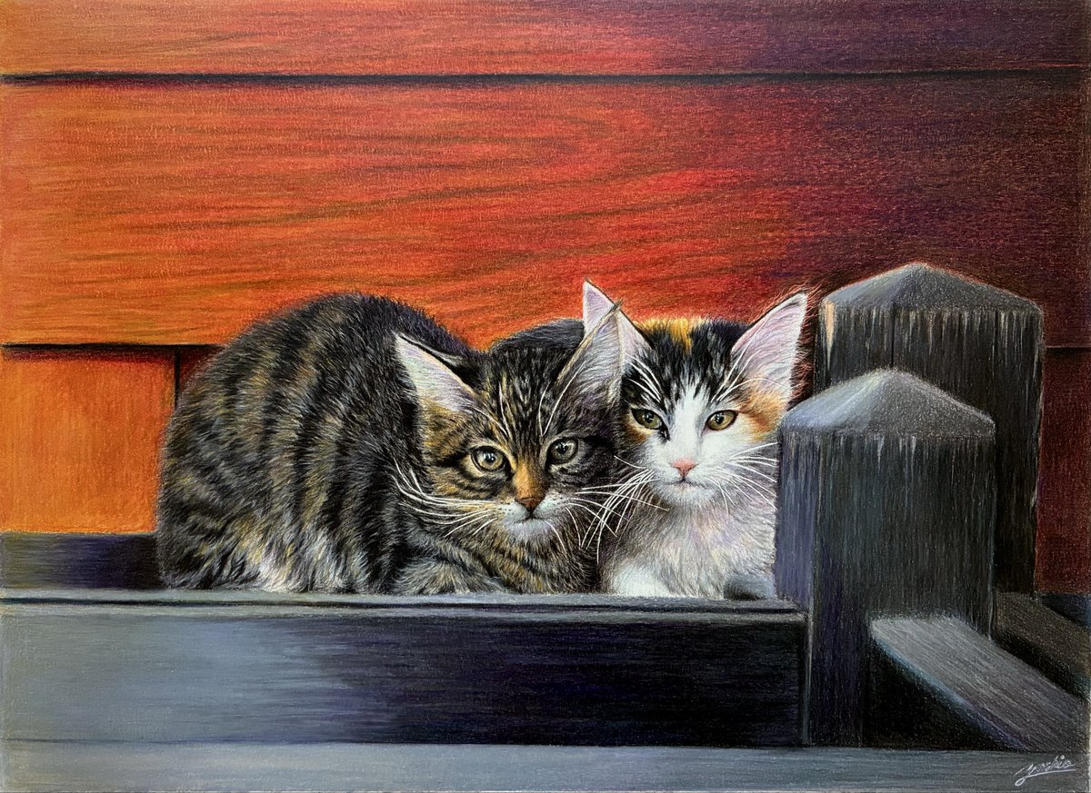 (。•ω•。)﻿ページです•*♬︎ ←これが こうなる→ F4 キャンバス 水彩紙 🐈🐈 ᝰ✍🏻 #色鉛筆画