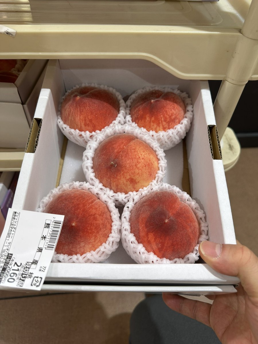 NPGDM's tweet photo. 🍑開幕？ https://t.co/QS3xPDfReR