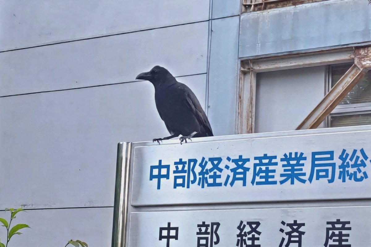 高橋 広和/Hirokazu TAKAHASHI tweet media