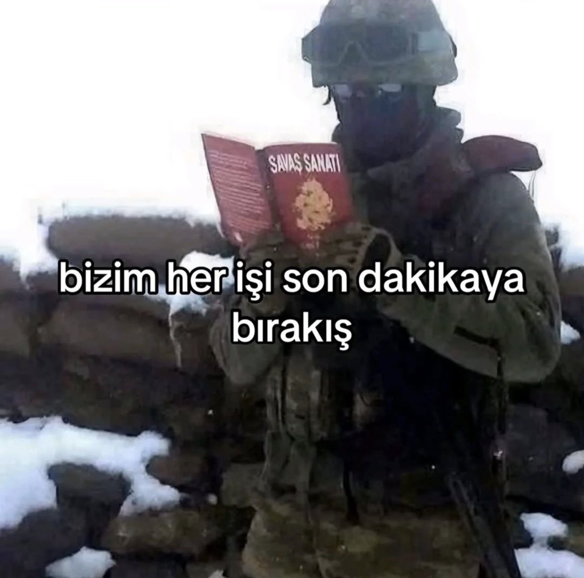 Ş tweet media