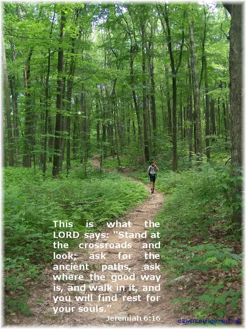 TheCarceri's tweet photo. MORNING PRAYER:
Lord of Life, may today bring…
paths to discover, possibilities to choose,
people to encounter, peace to possess,
promises to fulfil, pardon to accept
and a Presence to proclaim.

Jer 6:16 https://t.co/O7xnEvamBE