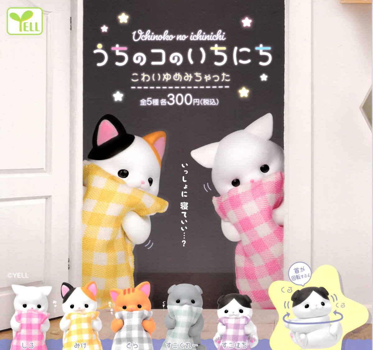 🙇‍♀️5月26日(火)完売のお知らせ🙇‍♀️ ▫️ もちにゃみ おかおの