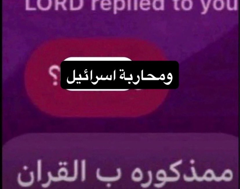 نيتشيعه ރ nietzshia tweet media