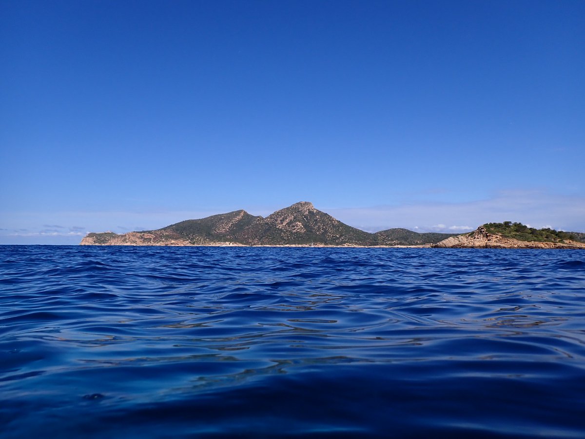 Conselleria de la Mar i del Cicle de l’Aigua tweet media