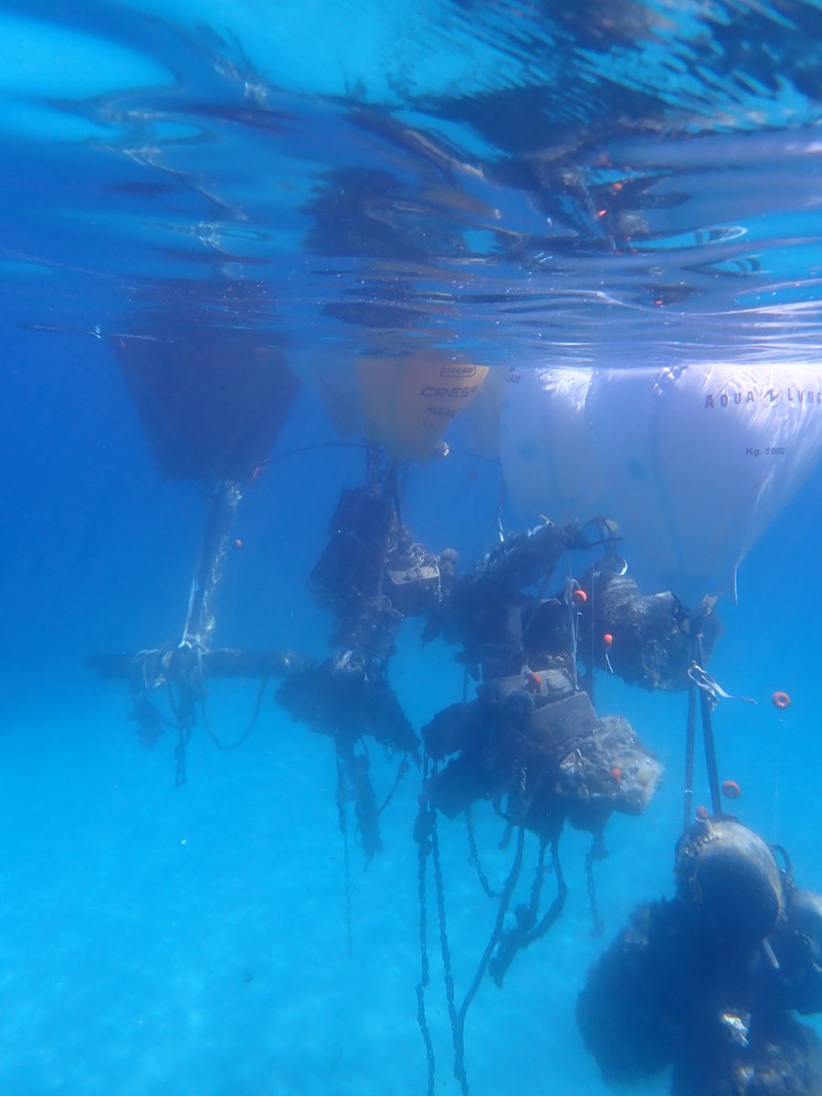 Conselleria de la Mar i del Cicle de l’Aigua tweet media