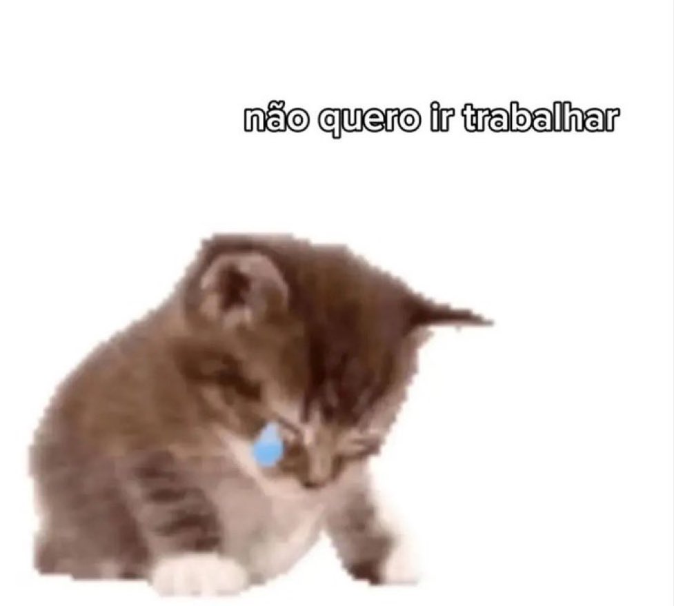 gatos fazendo gatices tweet media